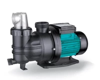 Leo XKP-250E-2 medence szivattyú